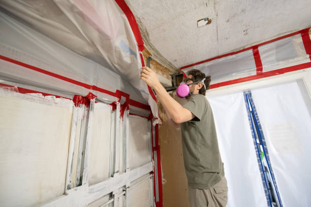 Forensic Mold Investigation in Yountville, CA