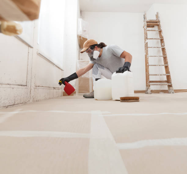 Best Biohazard Mold Removal  in Yountville, CA