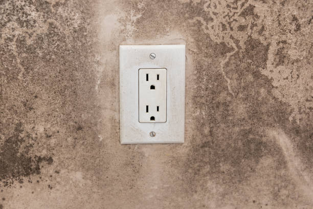 Mold Remediation for Rental Properties in Yountville, CA