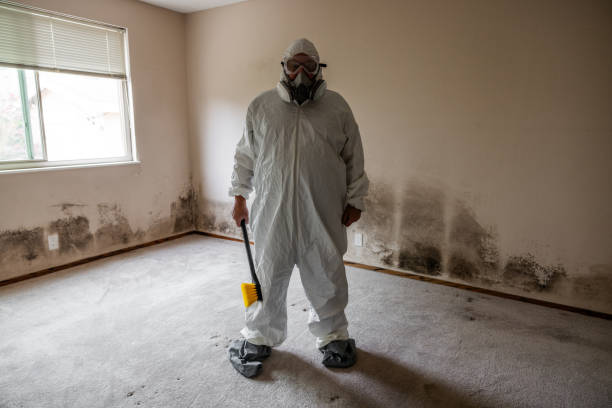 Best Residential Mold Inspection & Testing  in Yountville, CA
